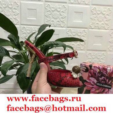 Dolce  &  Gabbana Crystal Heel 10.5cm Python Mules Red 2021